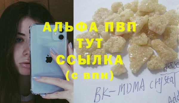 твердый Михайлов