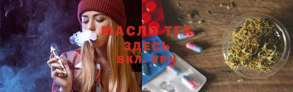 твердый Михайлов