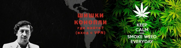 твердый Михайлов