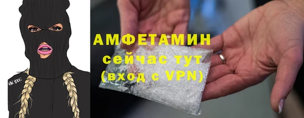 твердый Михайлов