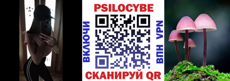 Купить где  Красный Кут  Галлюциногенные грибы мицелий 